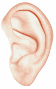 Artikel Spionage, Bild bionet-human-ear-300px